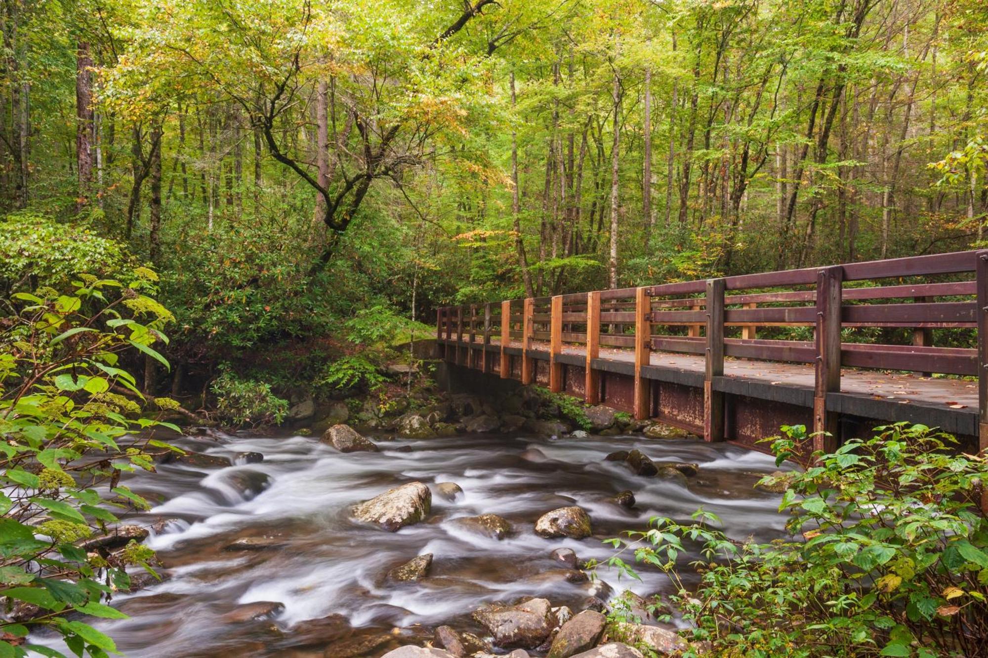 The Tiny Barn, 1089 Free Tickets Each Paid Day, Dollywood And More Sevierville Εξωτερικό φωτογραφία